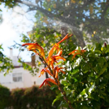 דירות ליסבון Flat With A Garden In Belem מראה חיצוני תמונה