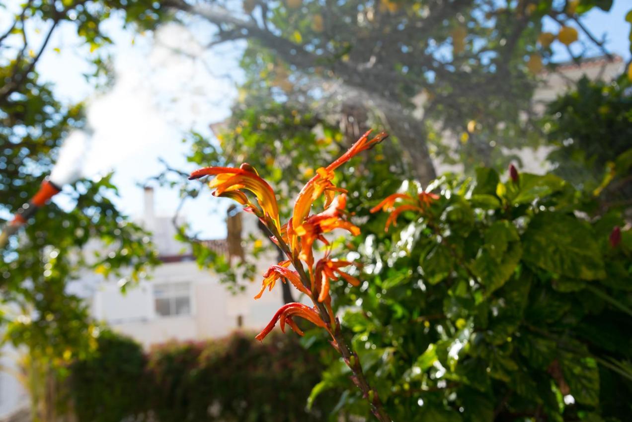 דירות ליסבון Flat With A Garden In Belem מראה חיצוני תמונה