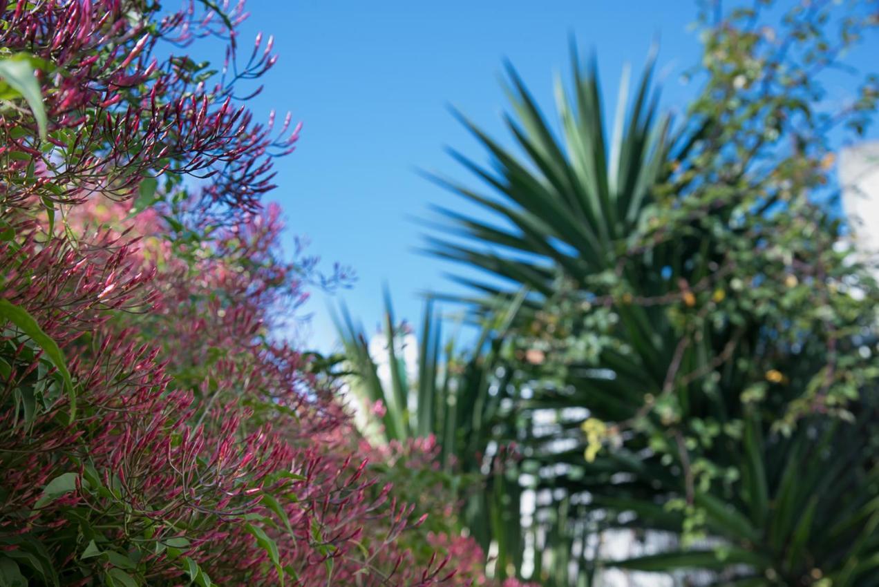 דירות ליסבון Flat With A Garden In Belem מראה חיצוני תמונה